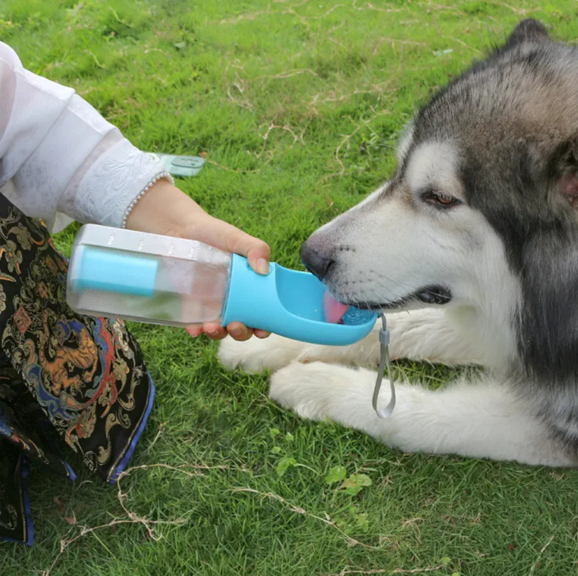 Pet Multi-Utility Hydration & Snack Bottle